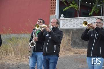 Diana floreada en tiempos de pandemia en Lomo Magullo/Francisco Javier Santana.